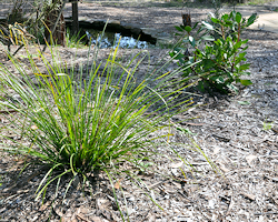 Image for slide 67