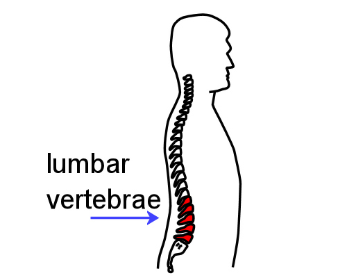 Image for slide 28