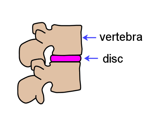Image for slide 29