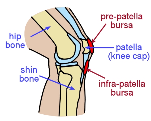 Image for slide 40