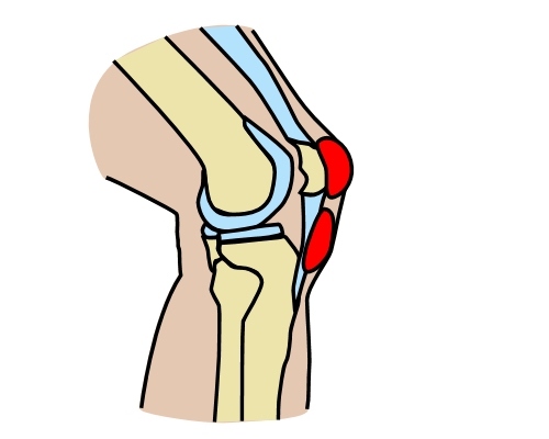 Image for slide 41