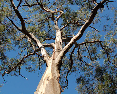 Image for slide 66