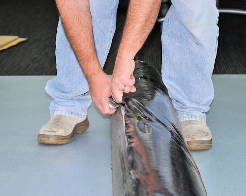 Image for slide 39